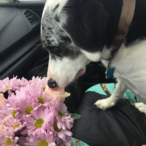 Meet your Posher, Resa - Picture 1 of 1